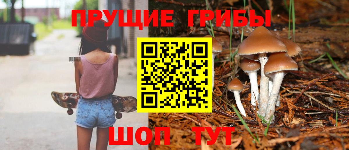 Майкоп  Галлюциногенные грибы Psilocybe  Вход с VPN 